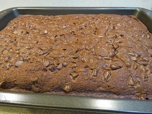 Chocolate Zucchini Space Cake Baked